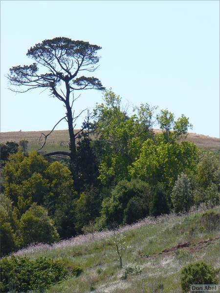 Bike-AlamedaCreekTrail-050b.jpg - for personal use