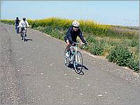 Bike-AlamedaCreekTrail-007c.jpg