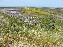 Bike-AlamedaCreekTrail-023b.jpg