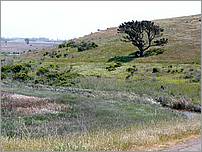 Bike-AlamedaCreekTrail-035c.jpg