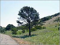 Bike-AlamedaCreekTrail-045c.jpg