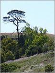 Bike-AlamedaCreekTrail-050b.jpg