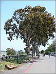 Bike-AlamedaCreekTrail-053b.jpg