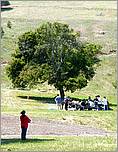 Bike-AlamedaCreekTrail-057c.jpg