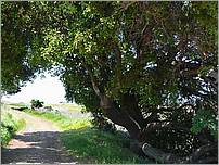 Bike-AlamedaCreekTrail-116C.jpg