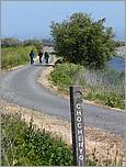 Bike-AlamedaCreekTrail-120b.jpg