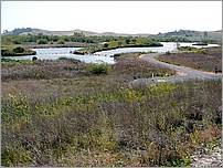 Bike-AlamedaCreekTrail-138c.jpg