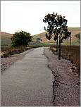 Bike-AlamedaCreekTrail-139c.jpg