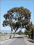 Bike-AlamedaCreekTrail-141b.jpg