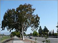 Bike-AlamedaCreekTrail-148b.jpg