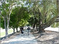 Bike-AlamedaCreekTrail-150b.jpg