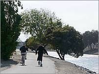 Bike-AlamedaCreekTrail-170c.jpg