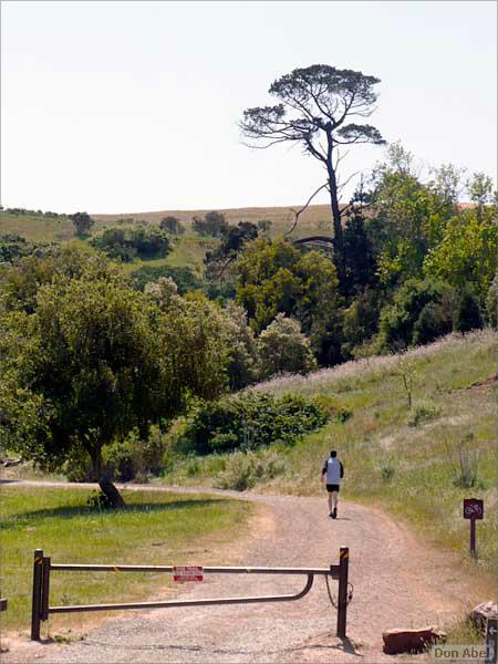 Bike-AlamedaCreekTrail-051c.jpg - for personal use