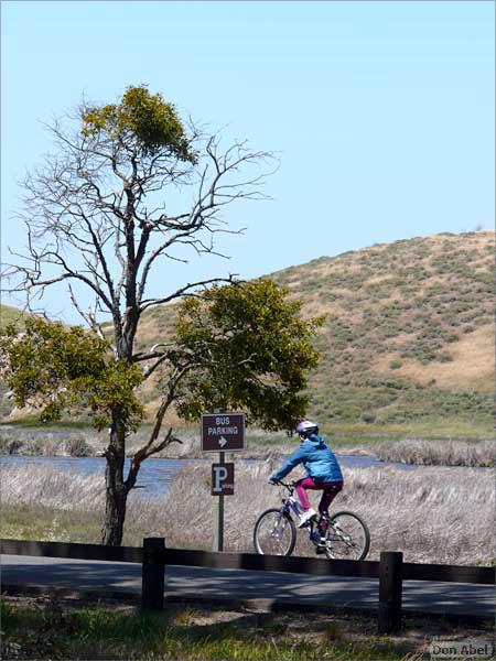 Bike-AlamedaCreekTrail-101c.jpg - for personal use