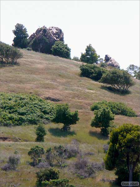 Bike-AlamedaCreekTrail-103c.jpg - for personal use