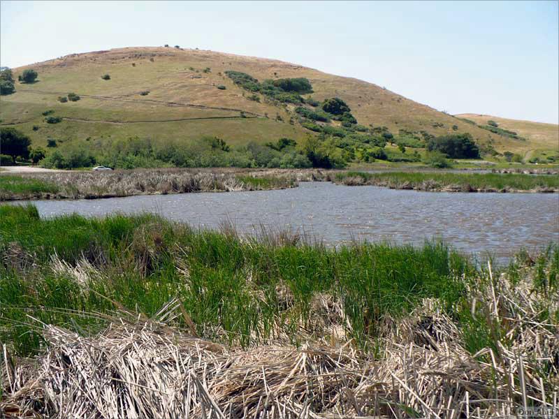 Bike-AlamedaCreekTrail-104c.jpg - for personal use