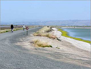 Bike-AlamedaCreekTrail-013c.jpg