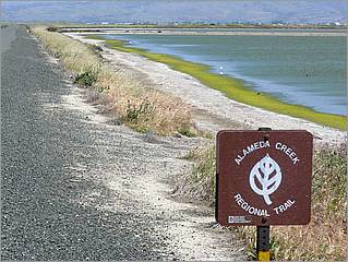 Bike-AlamedaCreekTrail-022c.jpg