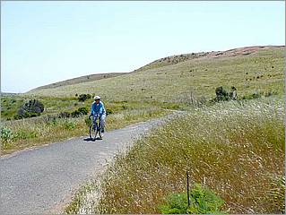 Bike-AlamedaCreekTrail-024c.jpg