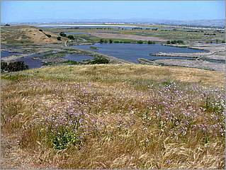 Bike-AlamedaCreekTrail-080c.jpg