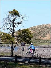 Bike-AlamedaCreekTrail-101c.jpg