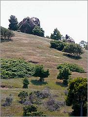 Bike-AlamedaCreekTrail-103c.jpg