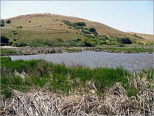 Bike-AlamedaCreekTrail-104c.jpg