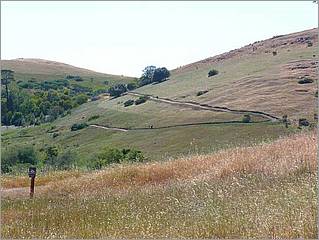 Bike-AlamedaCreekTrail-118c.jpg