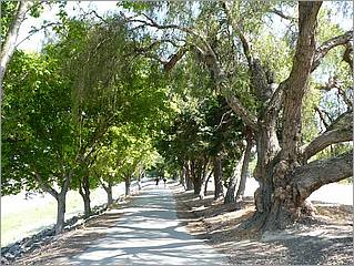 Bike-AlamedaCreekTrail-152b.jpg