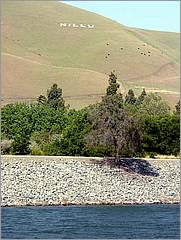 Bike-AlamedaCreekTrail-166d.jpg