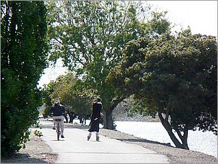 Bike-AlamedaCreekTrail-171c.jpg