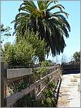 BikeRide_SantaCruz07-113b.jpg