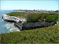 BikeRide_SantaCruz07-126b.jpg