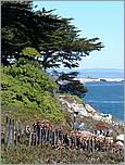 BikeRide_SantaCruz07-135b.jpg