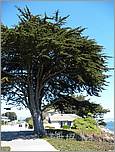 BikeRide_SantaCruz07-136b.jpg