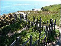 BikeRide_SantaCruz07-138b.jpg