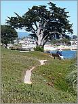 BikeRide_SantaCruz07-141c.jpg