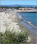 BikeRide_SantaCruz07-155c.jpg