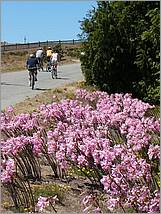 BikeRide_SantaCruz07-059b.jpg