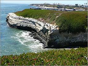 BikeRide_SantaCruz07-125b.jpg