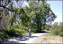 CoyoteTrail-028a.jpg