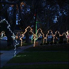 ChristmasDisplays25-145S.jpg