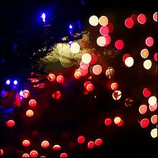 ChristmasDisplays25-169Sc1.jpg