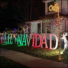 ChristmasDisplays25-214A.jpg