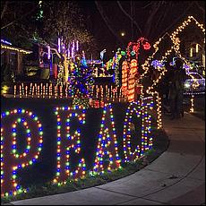 ChristmasDisplays25-241Aa.jpg