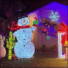 ChristmasDisplays25-246Aa.jpg