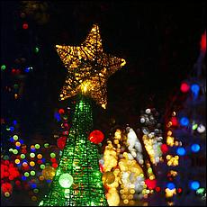 ChristmasDisplays25-296Sa.jpg