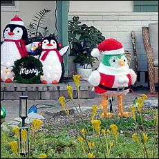 ChristmasDisplays25-76a.jpg